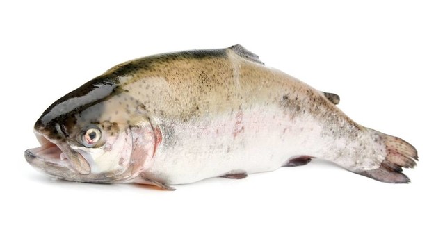 生魚片