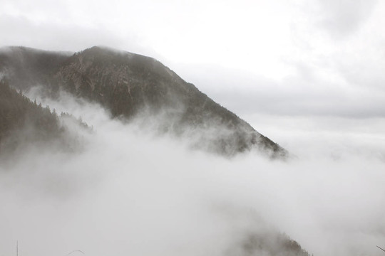 霧
