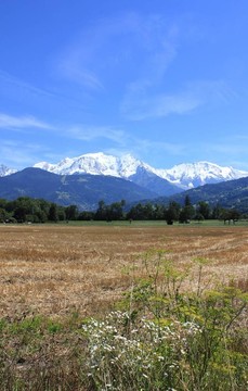 景觀山