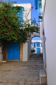 突尼斯街的Sidi Bou Said；