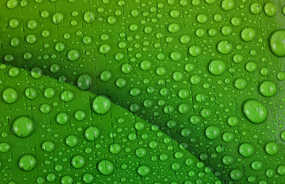 水滴