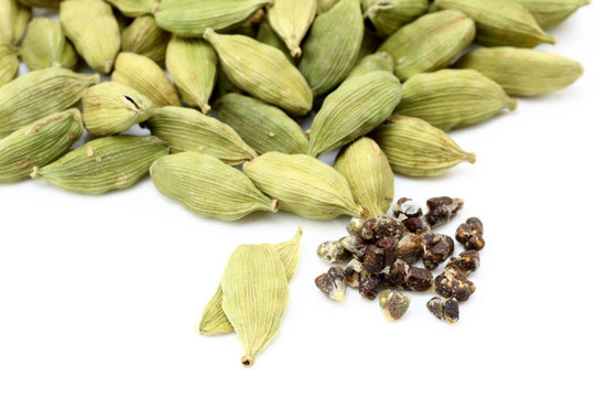 與小豆蔻種子豆蔻