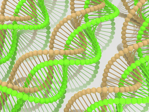 基因在DNA