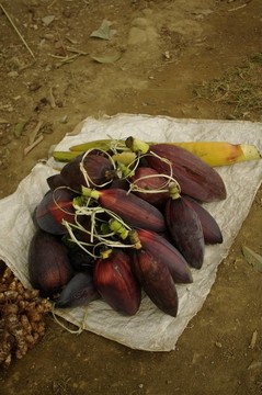 香蕉花
