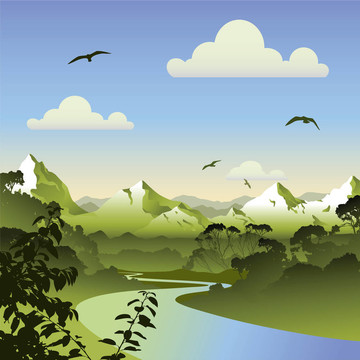 森林景觀