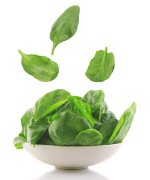 在一個(gè)白碗里的新鮮菠菜