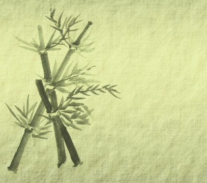 紙背景下竹枝的輪廓