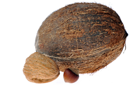 椰子；核桃；hazeknut