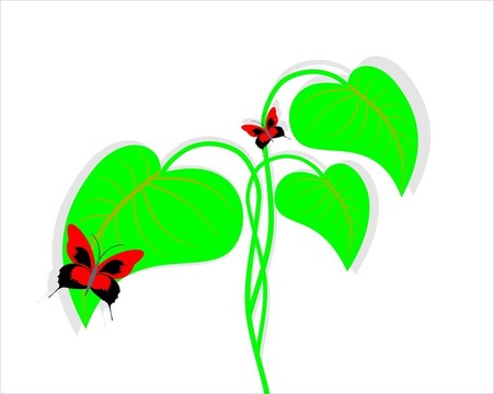 花香尾韻