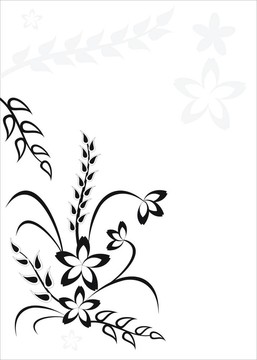 花香尾韻