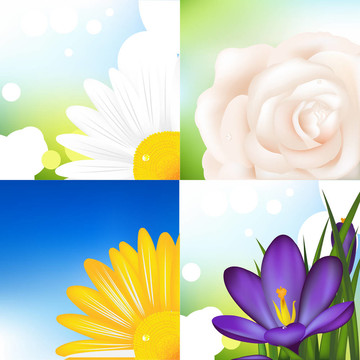 集花
