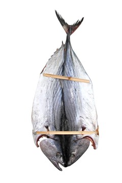 鰹魚(yú)金槍魚(yú)魚(yú)鲞M(jìn)editeraranean薩達(dá)
