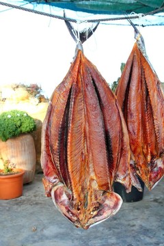 鰹魚(yú)金槍魚(yú)魚(yú)鲞M(jìn)editeraranean薩達(dá)