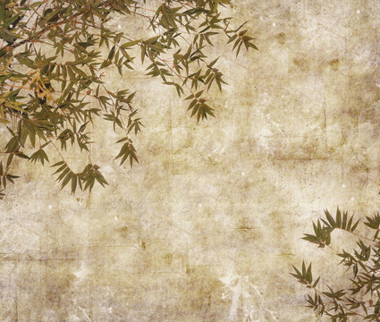 紙背景下竹枝的輪廓