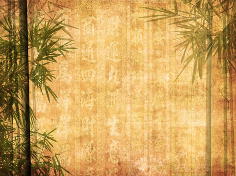 紙背景下竹枝的輪廓