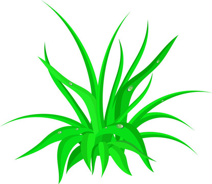 綠色的草。