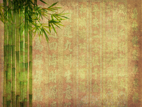 紙背景下竹枝的輪廓