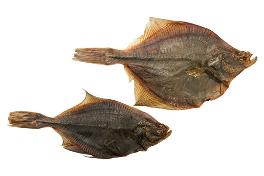 干魚