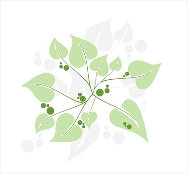 花香尾韻