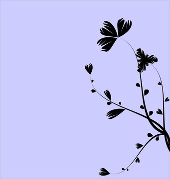 花香尾韻