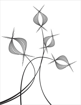 花香尾韻
