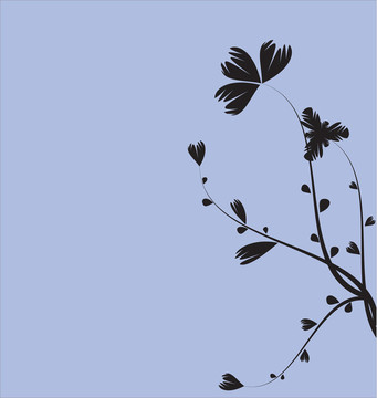 花香尾韻
