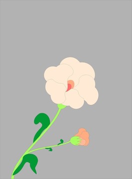花香尾韻