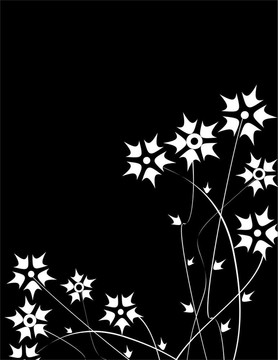 花香尾韻