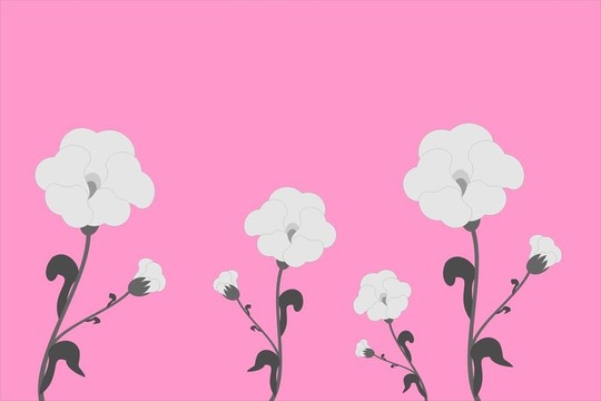 花香尾韻