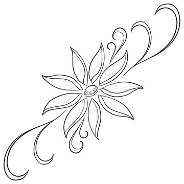 花形；輪廓