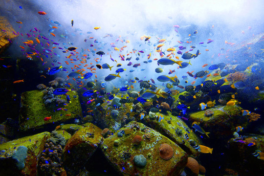 水族館