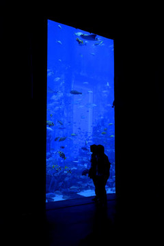 水族館