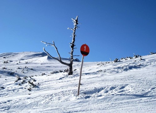 高山滑雪場