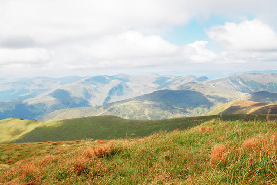 山