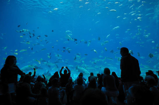 喬治亞水族館