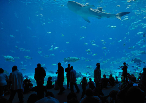 喬治亞水族館食品法院