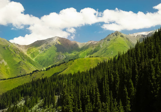 綠山