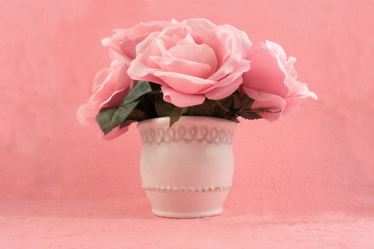 粉薔薇