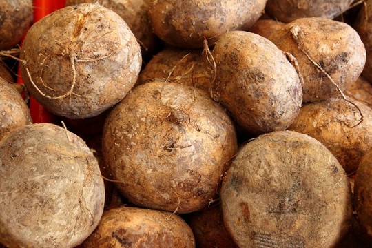 豆薯地瓜墨西哥食品蔬菜