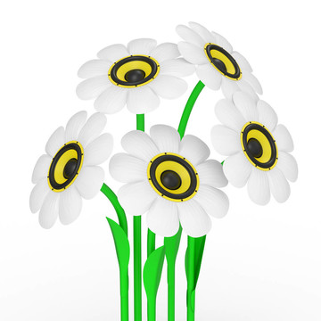 甘菊花與音頻揚(yáng)聲器