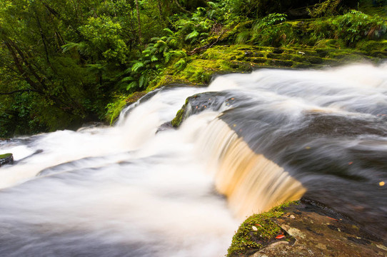 在卡特琳斯的部分觀點(diǎn)McLean Falls
