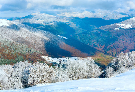 第一次冬季雪和高山山毛櫸森林