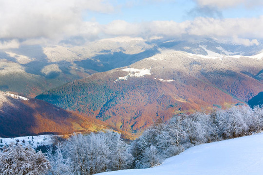 第一次冬季雪和高山山毛櫸森林