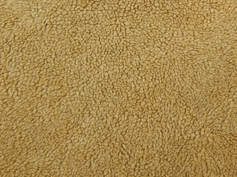 羔羊羊毛的質(zhì)地