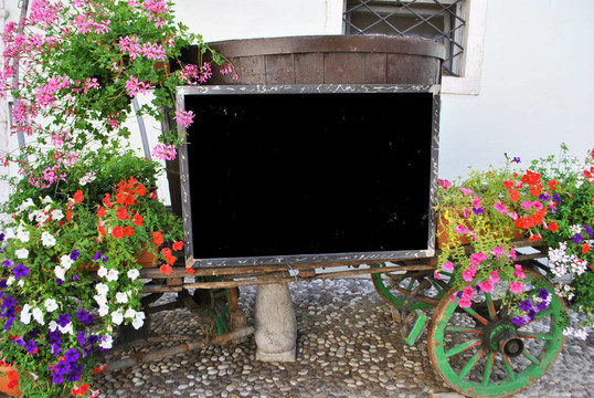 車花