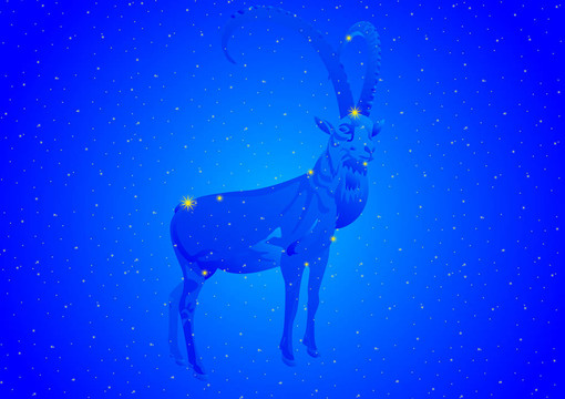 星座摩羯座