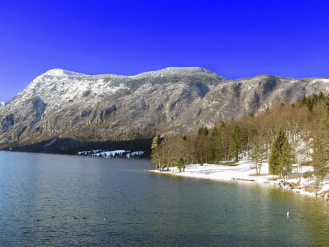 波希涅湖。Julian Alps。斯洛文尼亞
