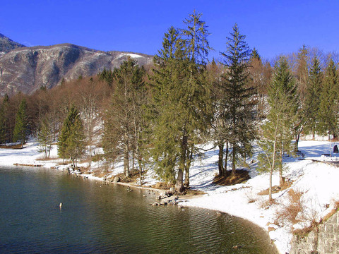 波希涅湖。Julian Alps。斯洛文尼亞