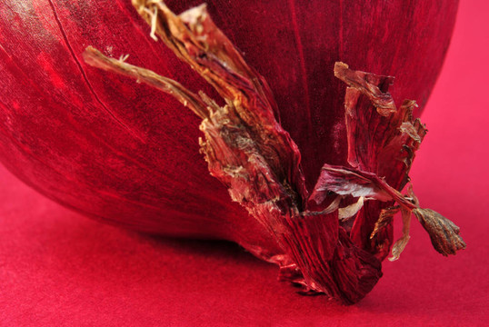 一個紅色新鮮洋蔥和紅色背景