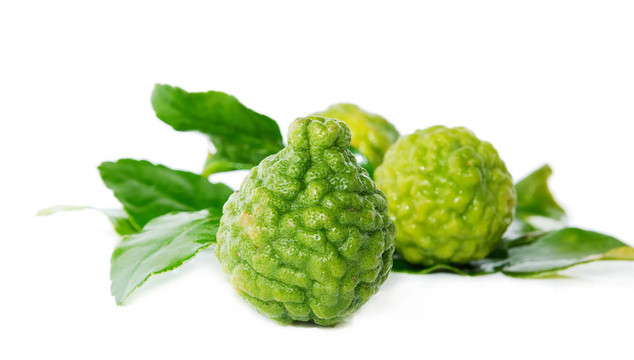 新鮮綠色石灰?？ǚ茽? style=